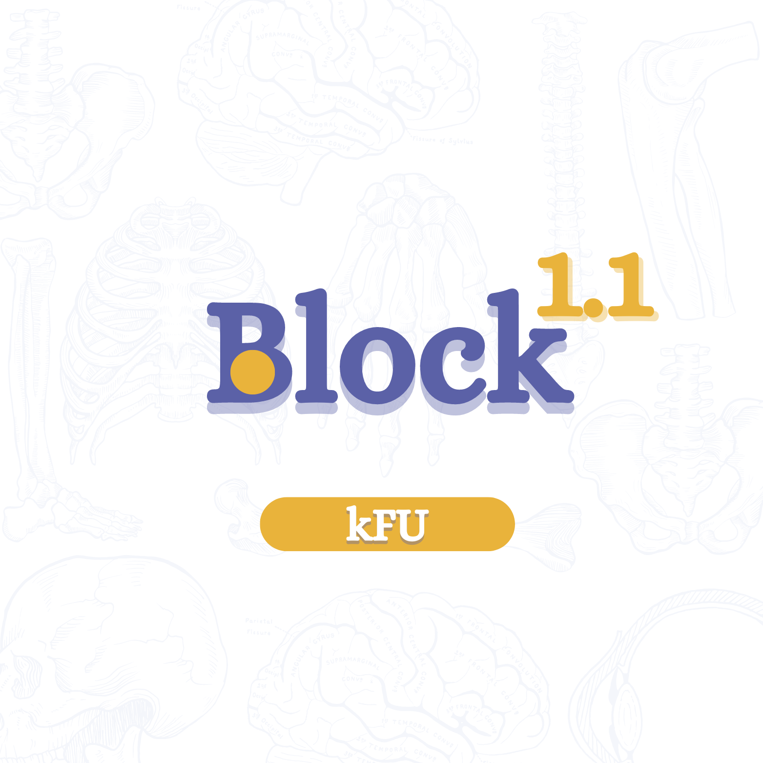 BLOCK 1.1 | MEDICINE - KFU