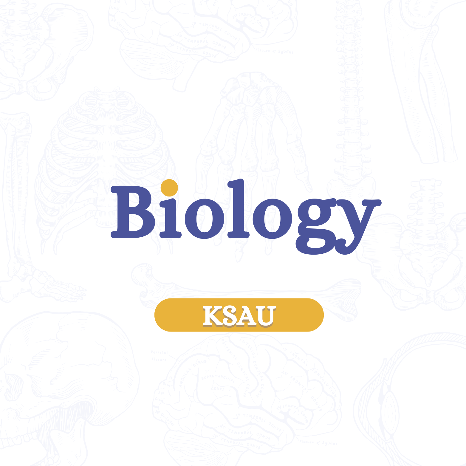 Biology KSAU (Full package)