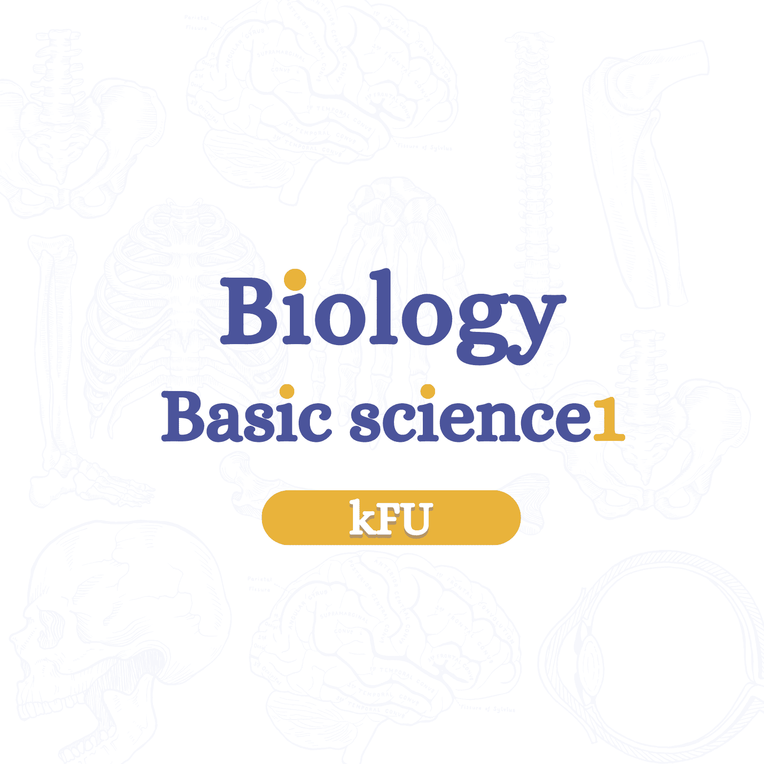 Basic science 1 - HW | PYD - KFU