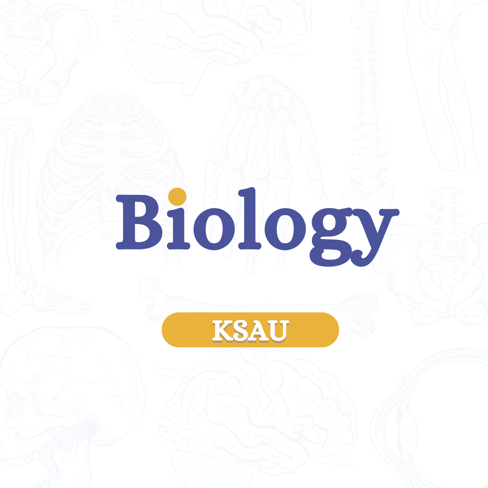 Bio Summaries | KSAU